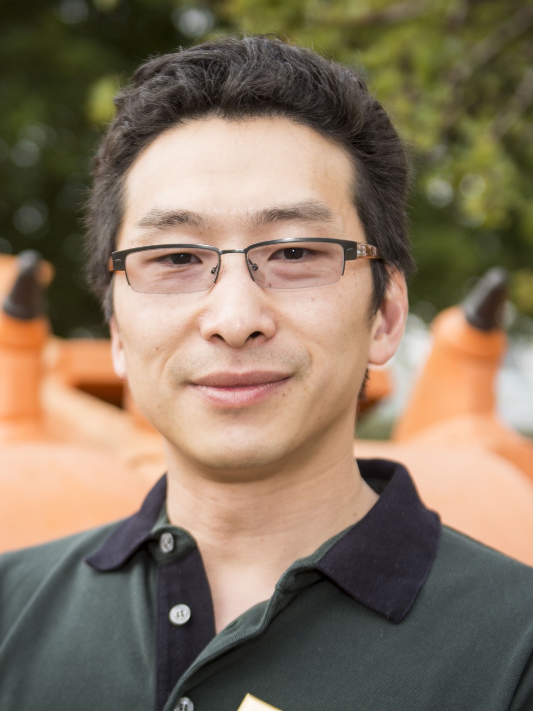 Portrait of Prof. Ling Cheng